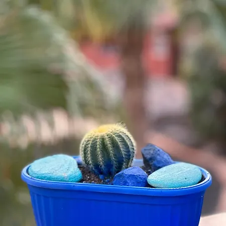 Casita Fuertencanto Διαμέρισμα Κοραλέχο